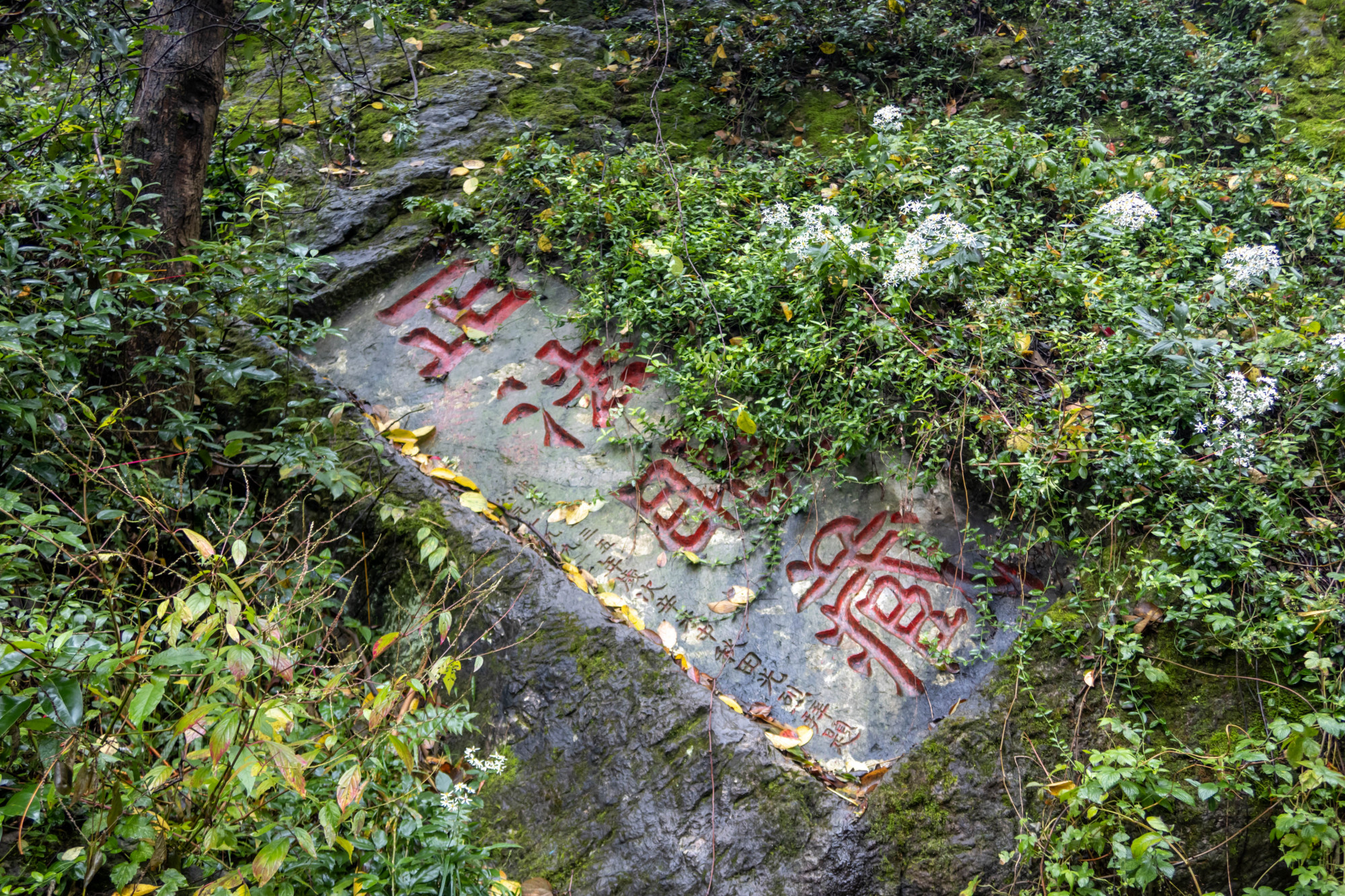 贵阳黔灵山公园的摩崖石刻,来自清朝民国,留意到了吗