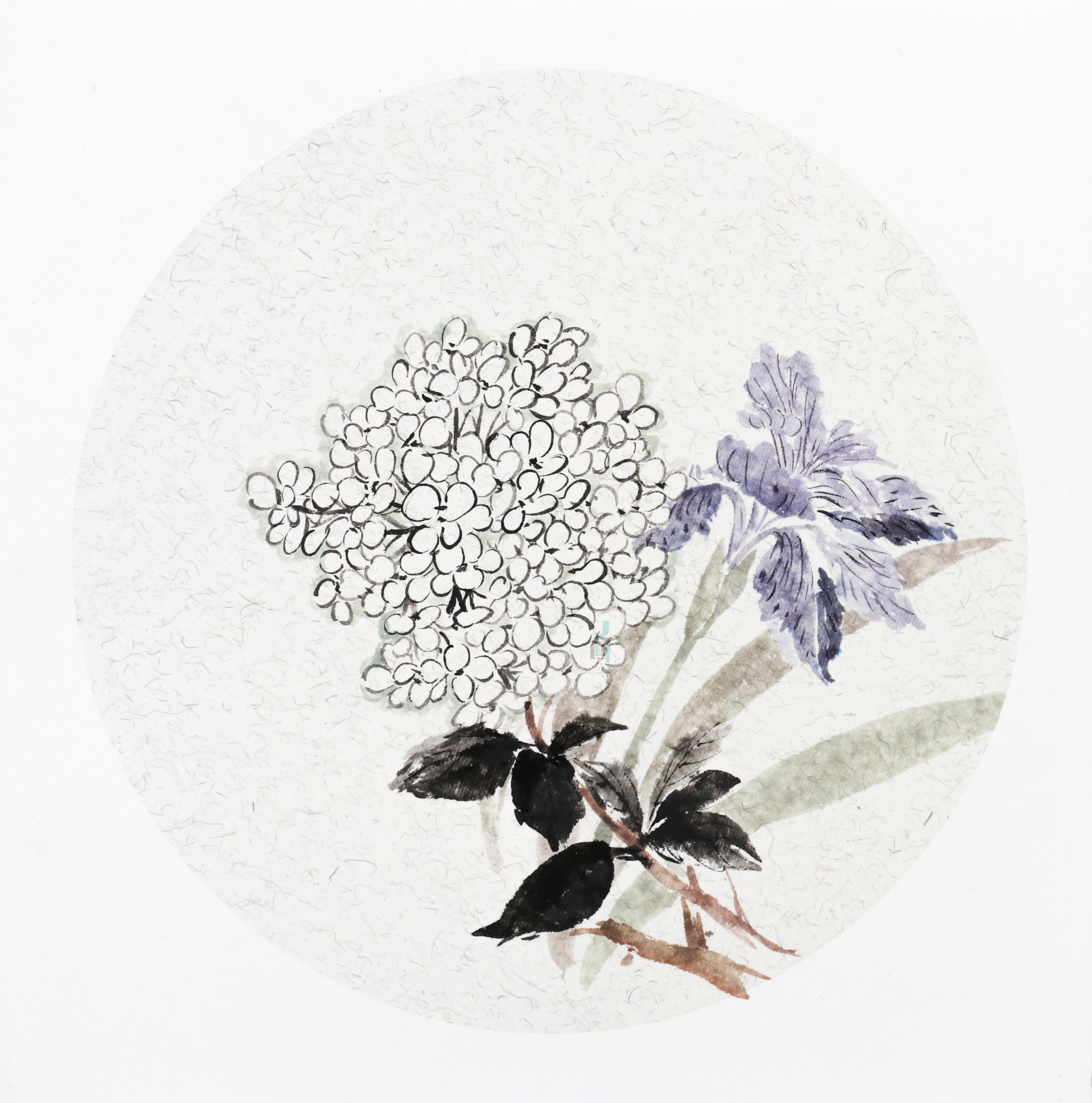 国画 绣球花绘画过程分享