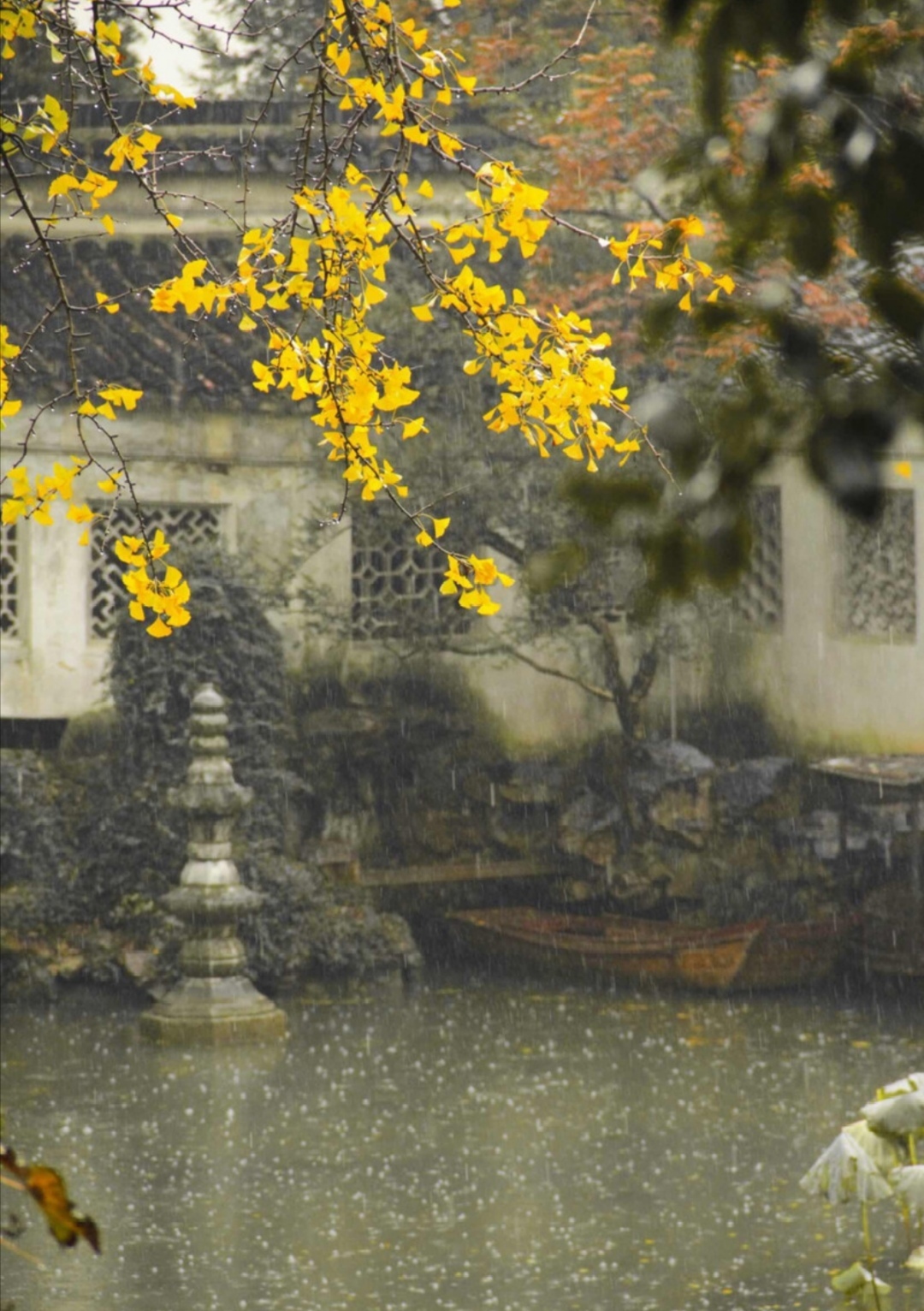 摄影古色古香的秋色秋雨配诗词