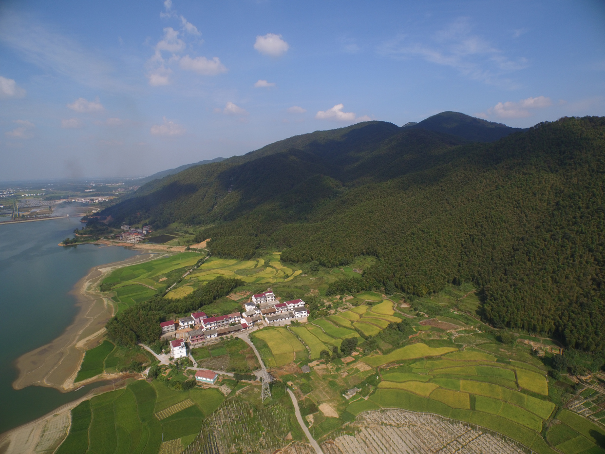 江西安义县水稻高产,南昌市湾里区梅岭狮子峰美如画