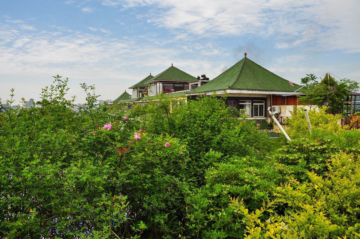 重庆沙坪坝区平顶山森林公园