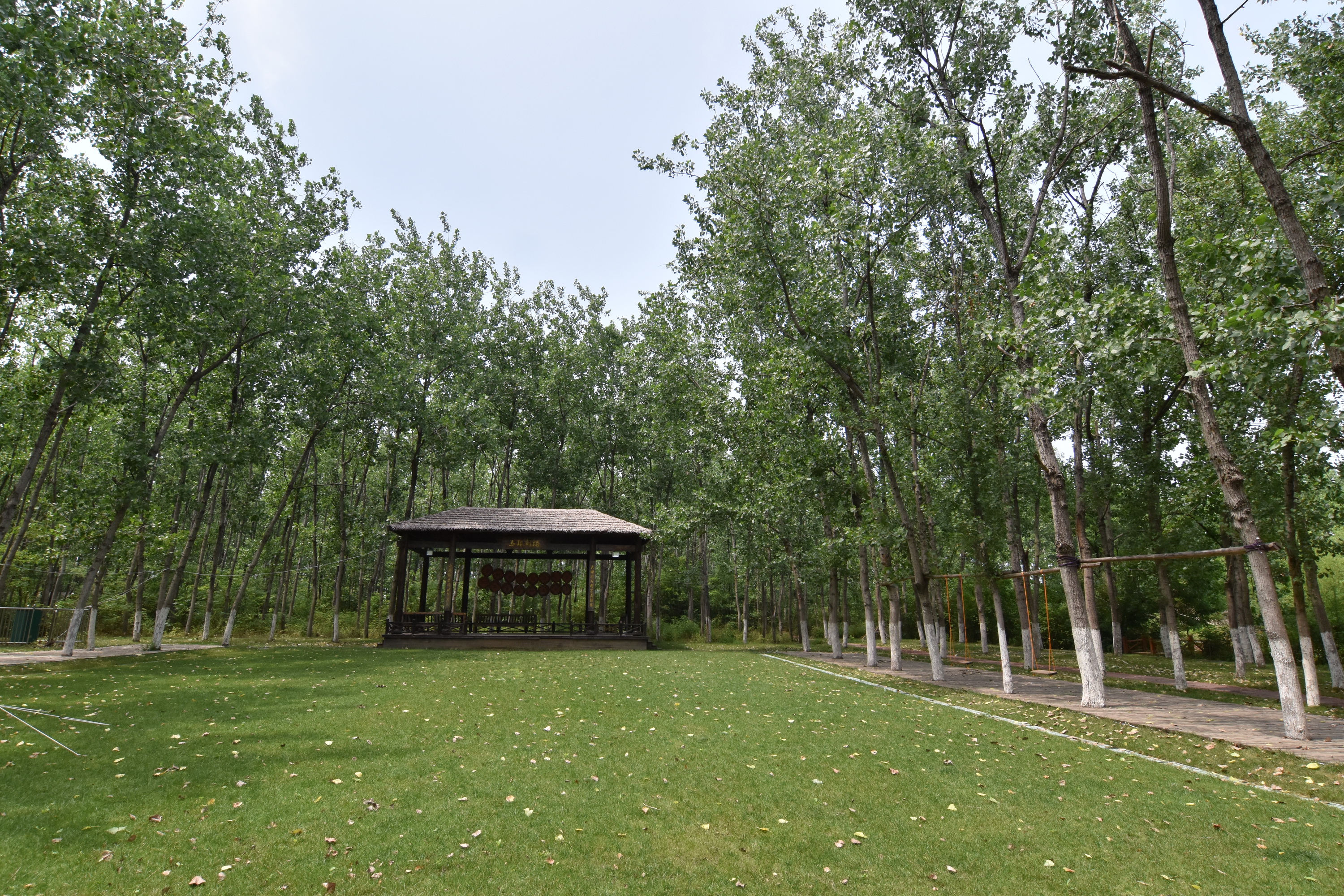 合肥市长丰县杨庙镇马郢社区