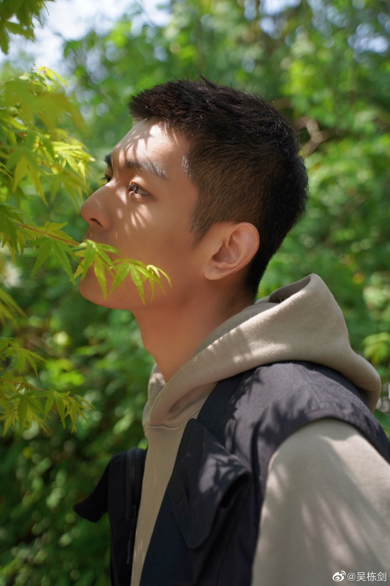 一眼倾心,在你笔下,所行所见所思都是诗