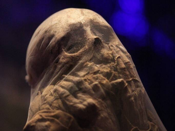 400多年前印加文明木乃伊"现身"北京