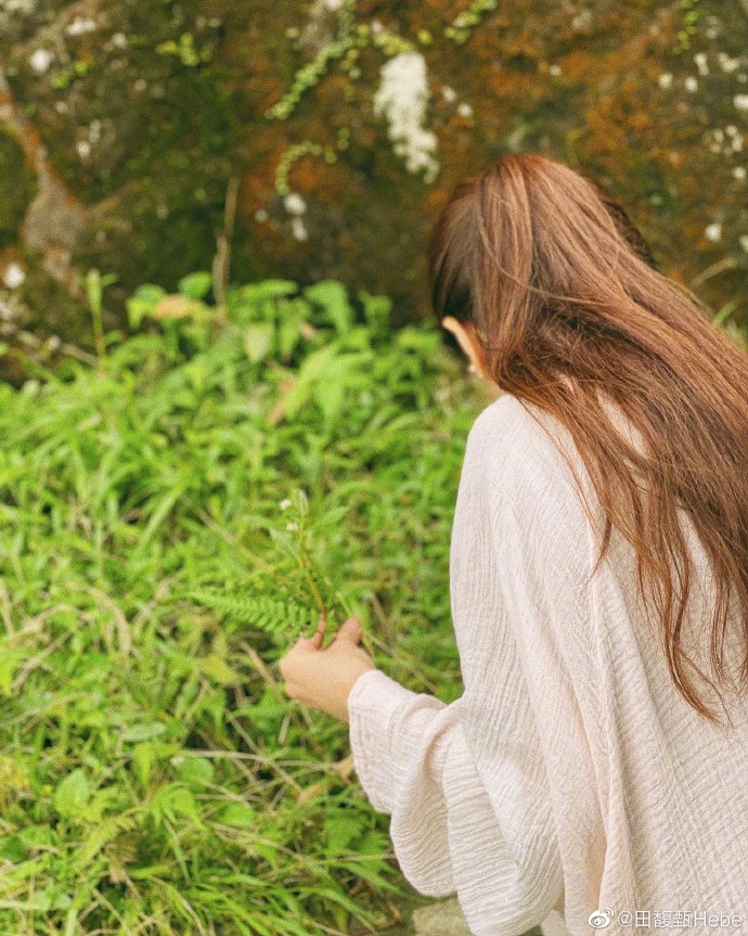 组图 田馥甄久违营业晒户外摘野花照片 扎马尾背影也好美