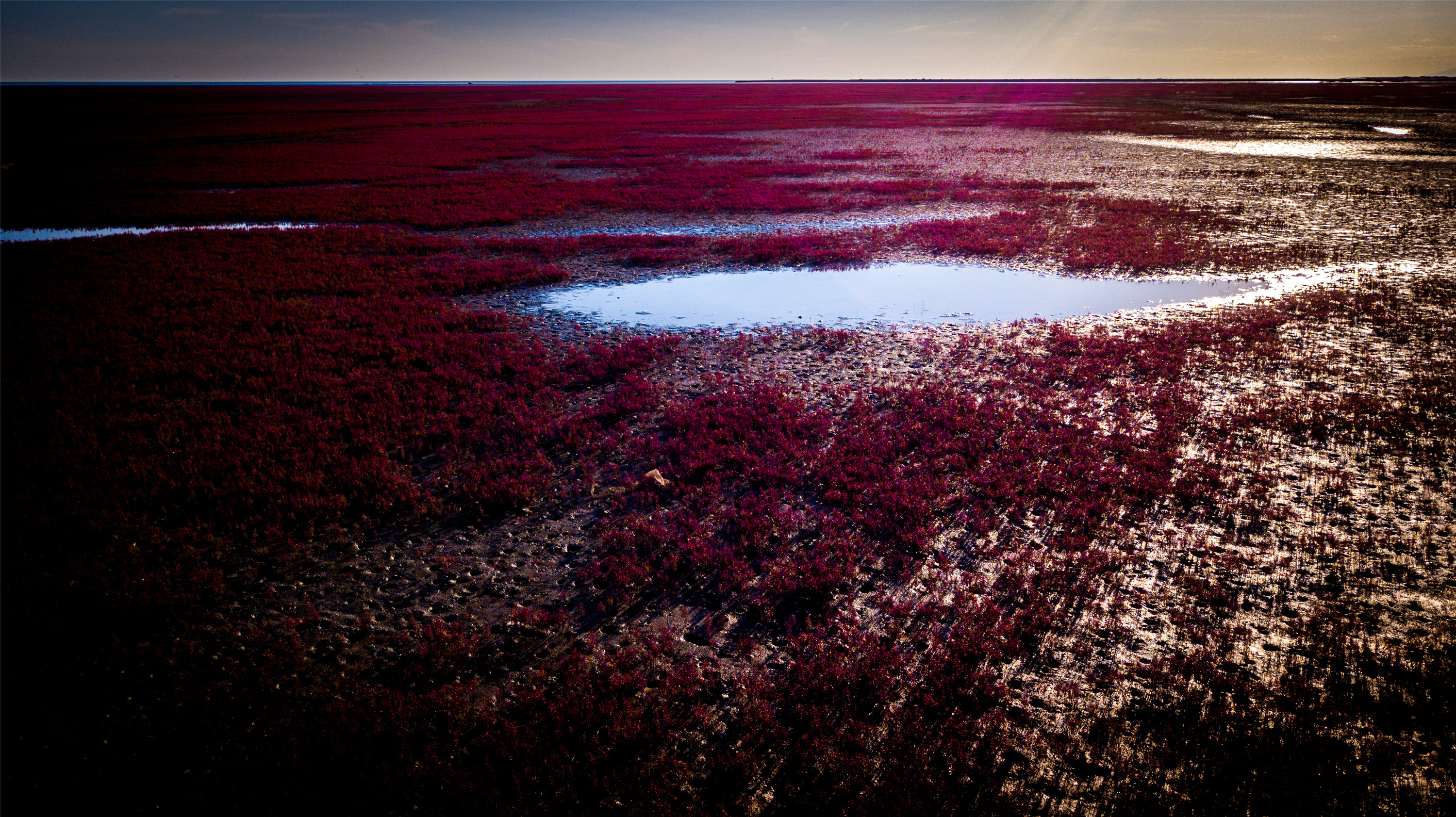 辽宁锦州:凌河入海口 湿地红海滩