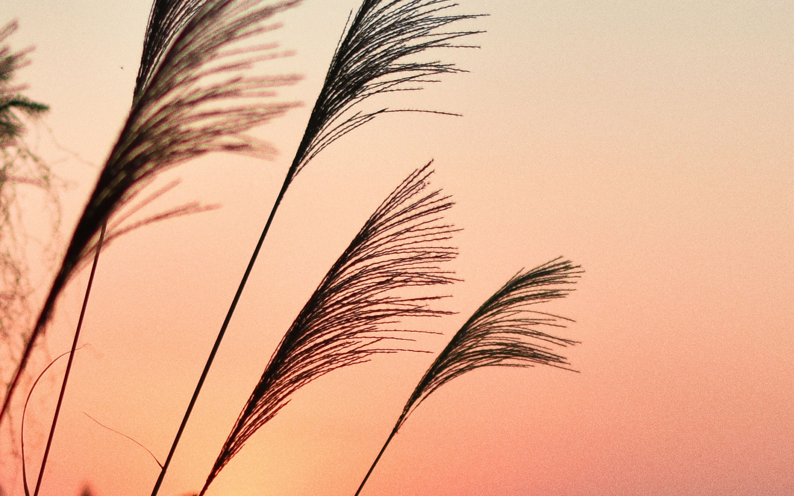 浪漫迷人的落日景色