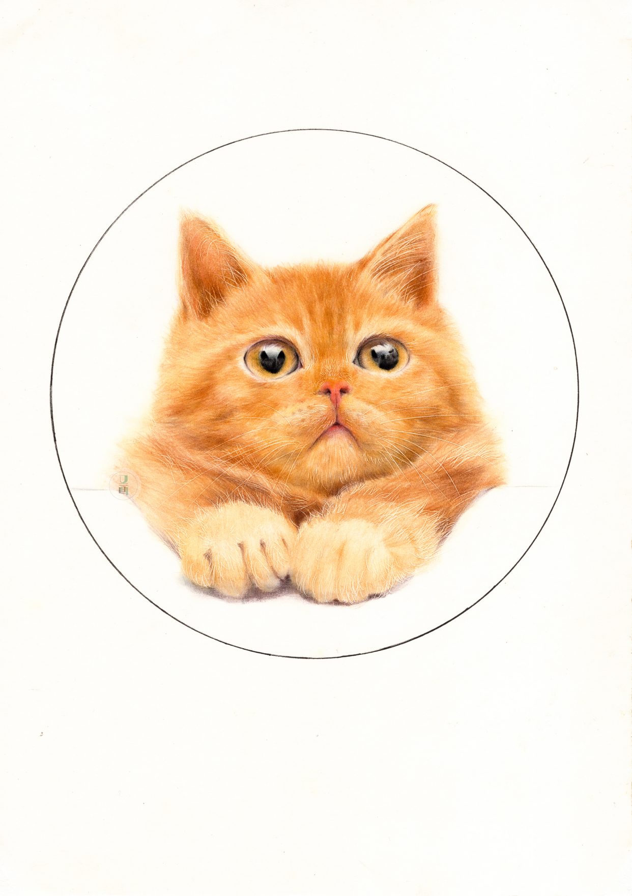 彩铅 可爱猫咪绘画步骤分享