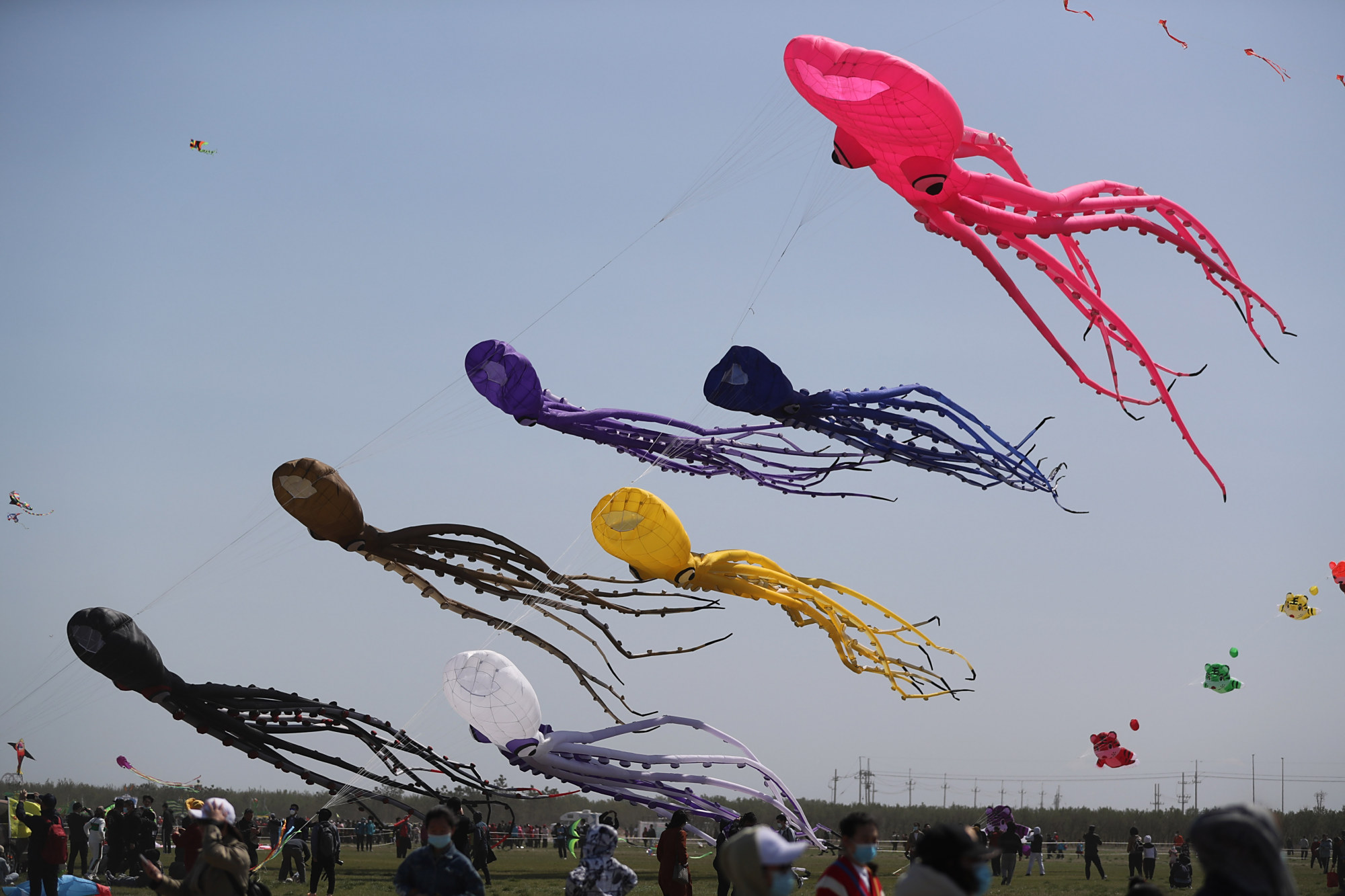 山东潍坊:第38届潍坊国际风筝会开幕