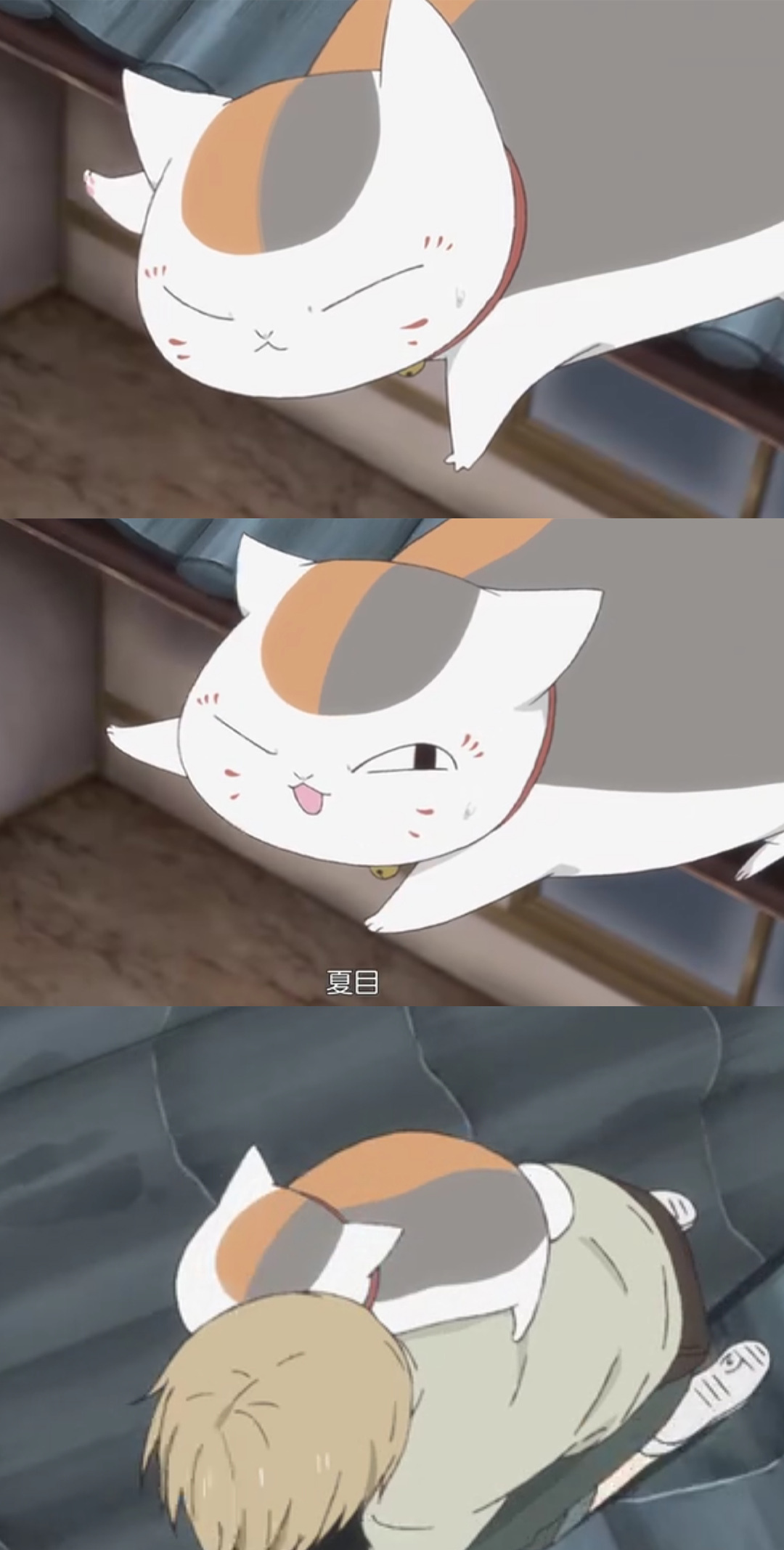 壁纸:夏目友人帐系列,猫咪老师,纯纯的铁"憨憨",快抱走