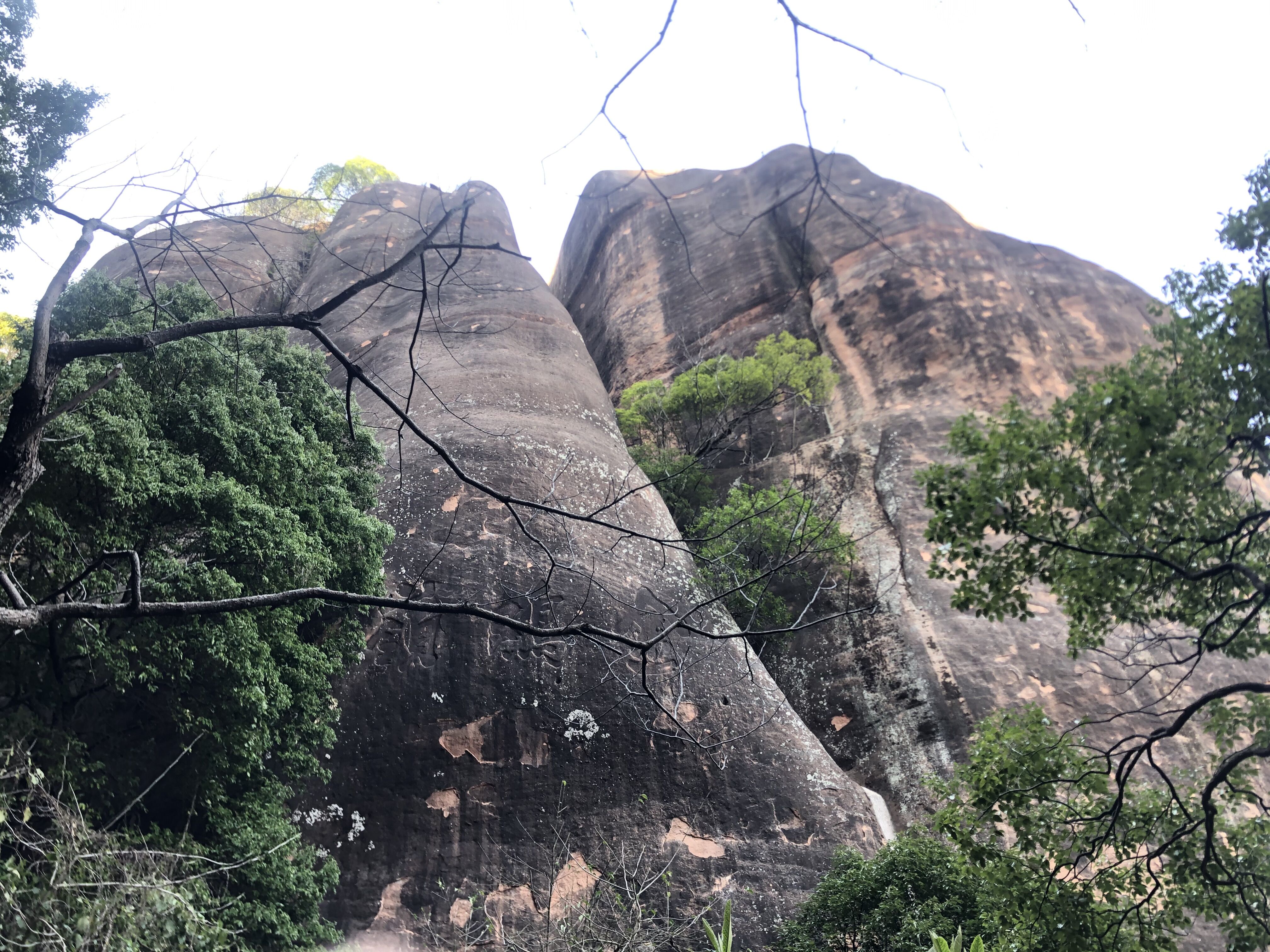 金鸡岭风景图片