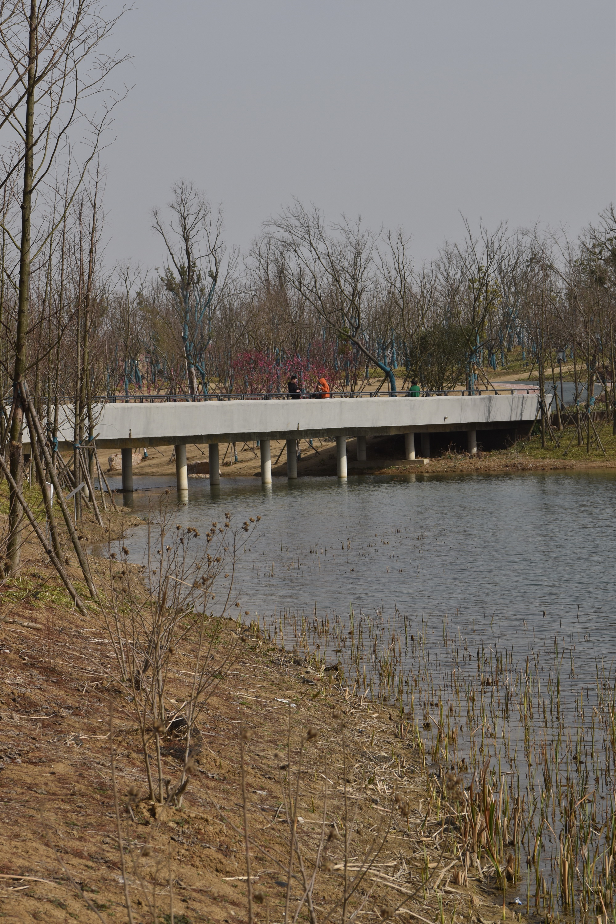 合肥市职教城少荃湖湿地公园(老郭冲水库)