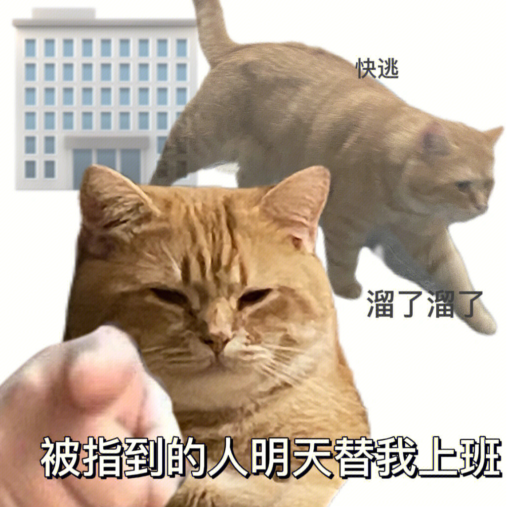 天选打工人 表情包 2