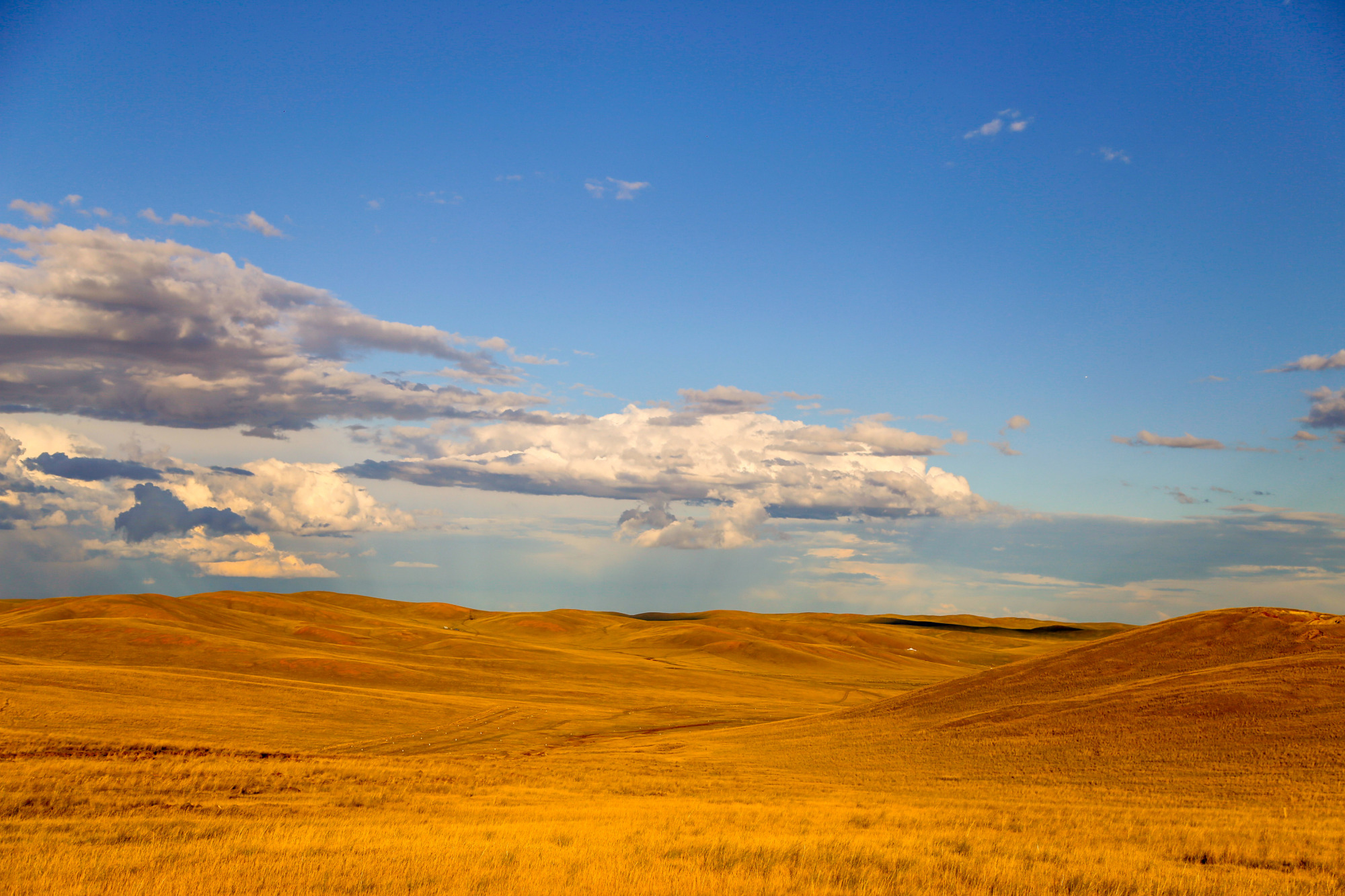 内蒙古草原的秋景有多美,不来打卡的有遗憾,旅游回去会"后悔"