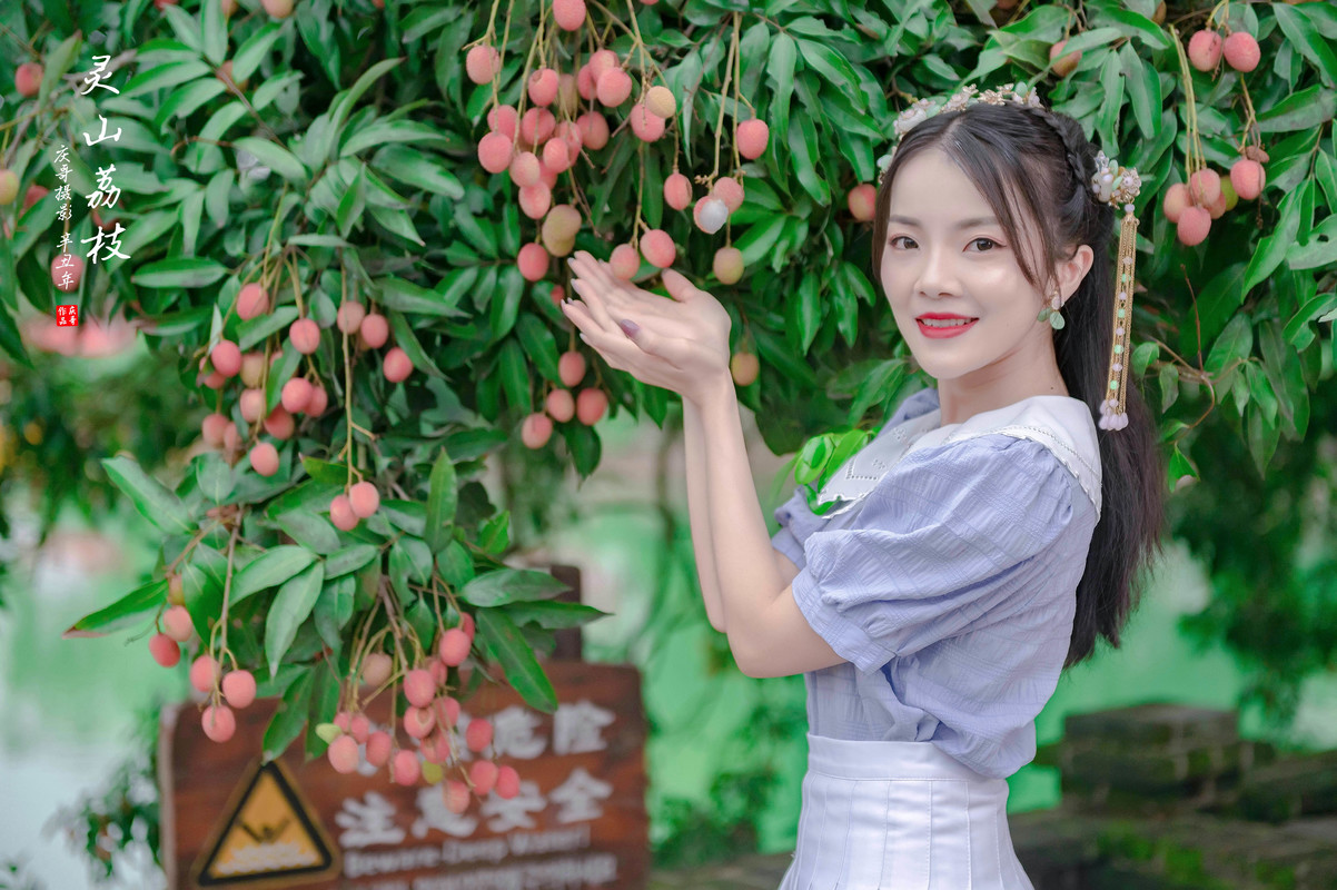 女孩摄影:荔枝丰收的季节