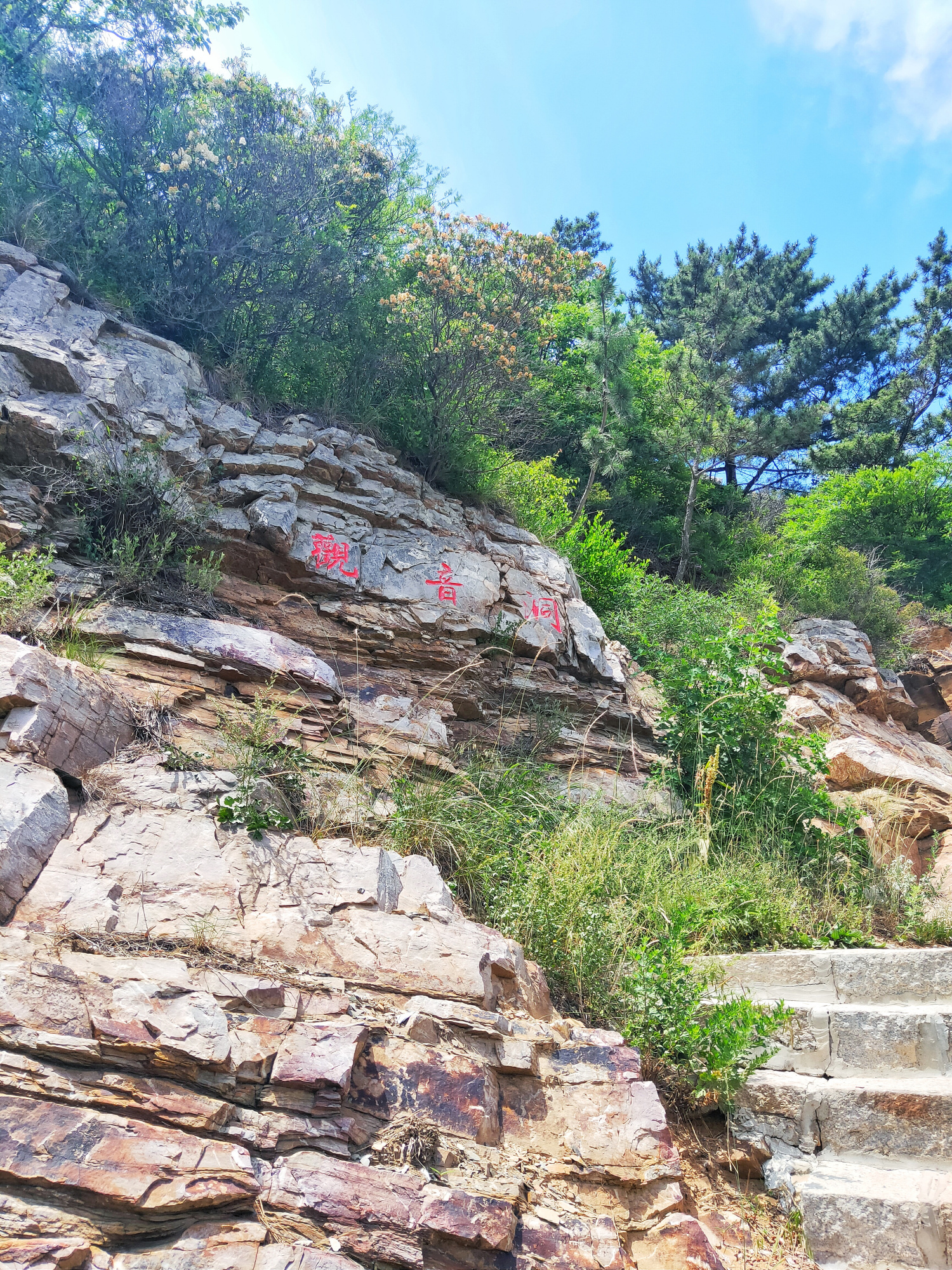 最美大连丨金龙寺国家森林公园