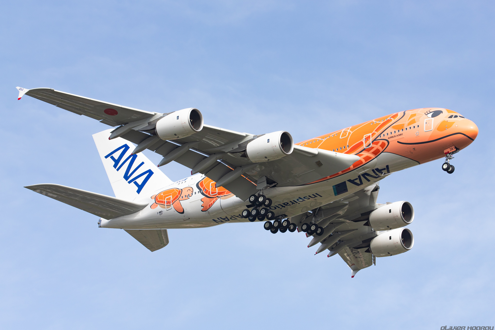 展翅飞翔的三色海龟:全日空a380客机「高清图集」