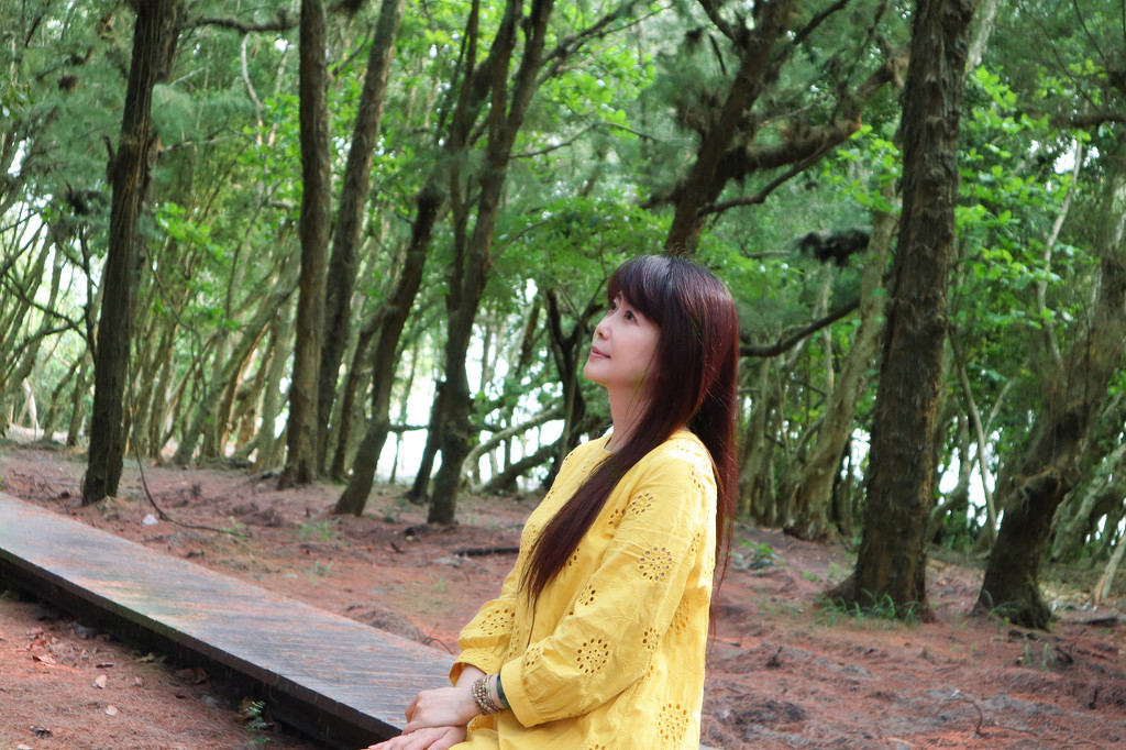 孟庭苇,她的声音真的是绕梁三日