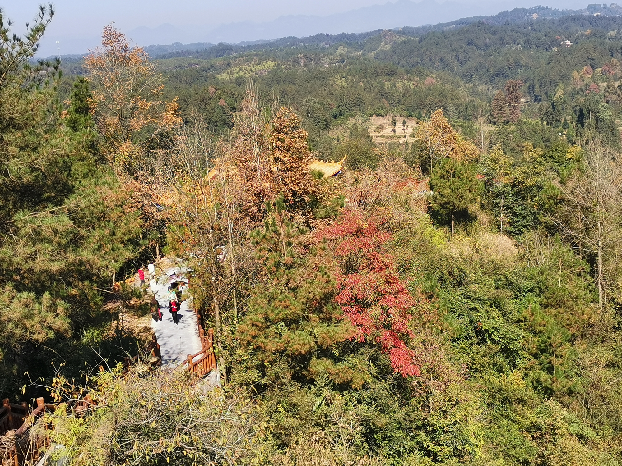 龍山太平山(小部分景色)