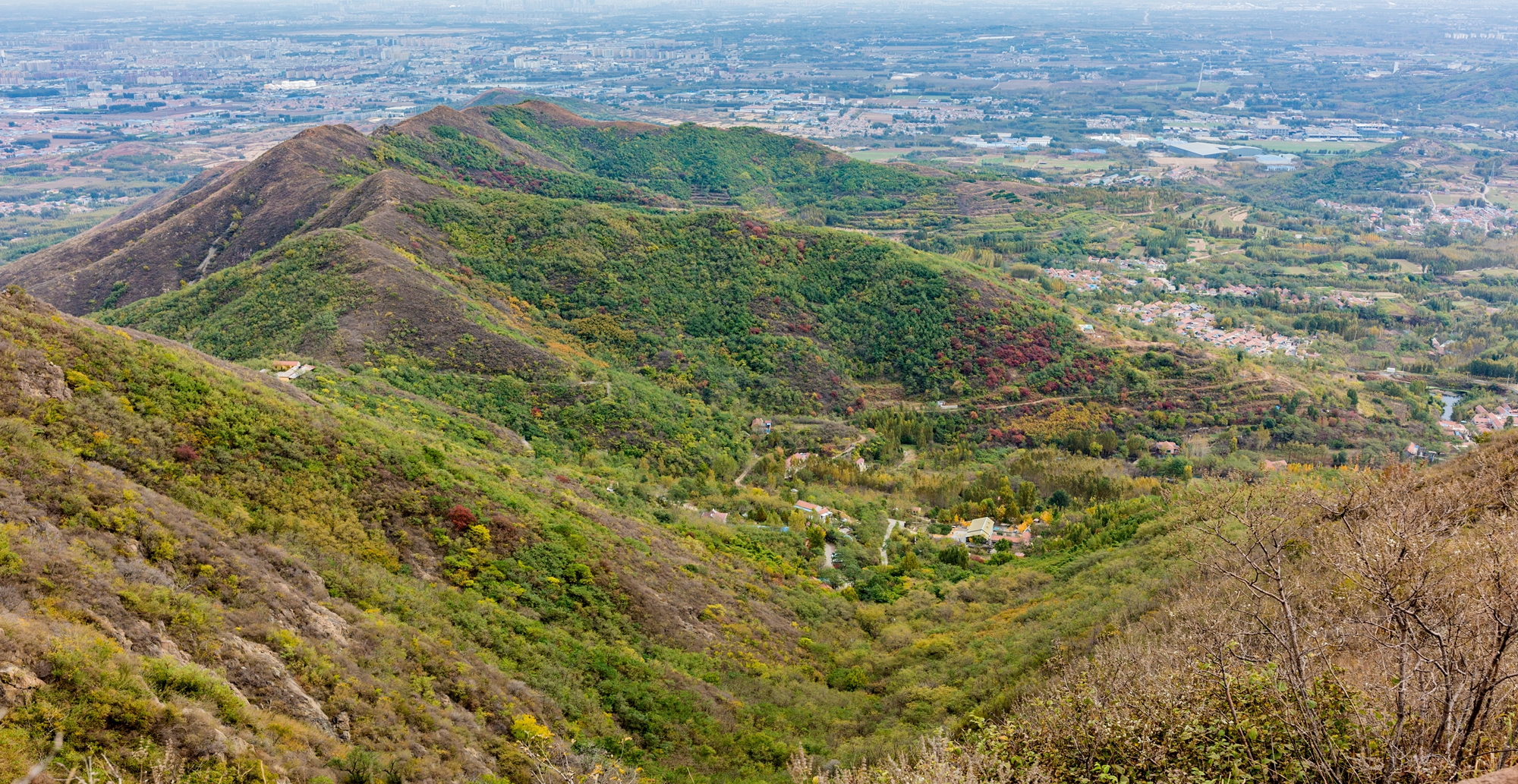 山东邹平:白云山麓 层林尽染