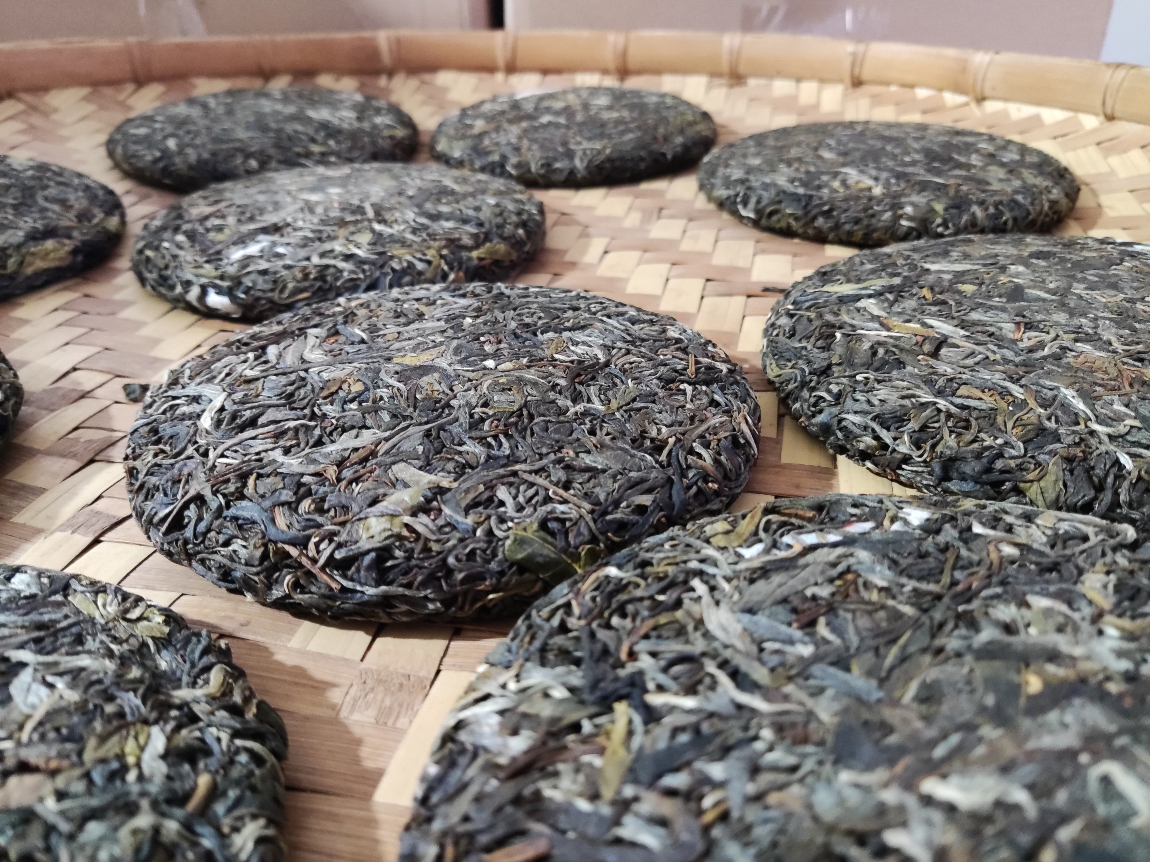 普洱镇沅九甲千家寨2022年古树春茶饼