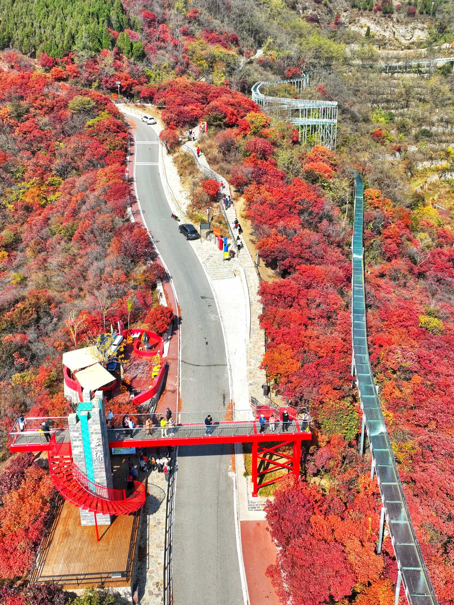 红叶柿岩多高图片