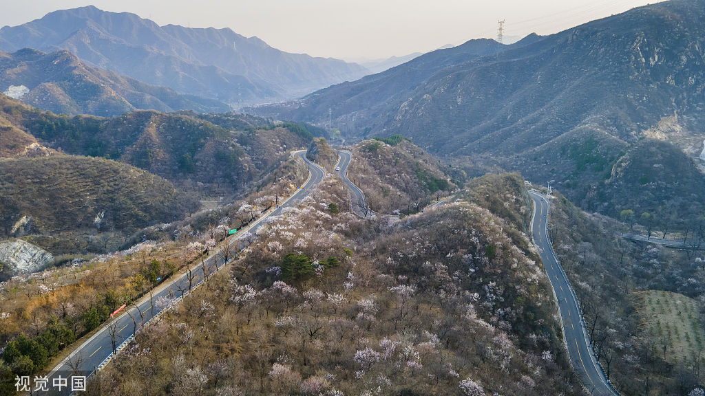 北京:京郊"最美公路"昌赤路繁花似锦 车辆如在花海中行驶