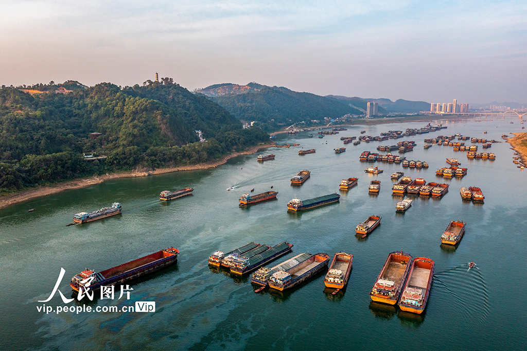 广西梧州:西江航运忙