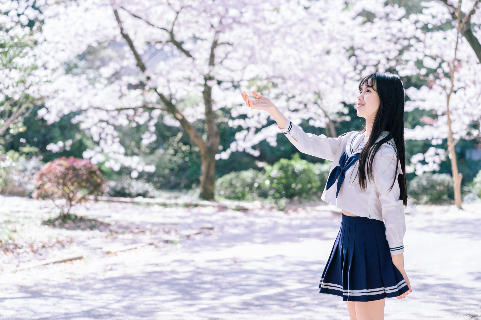 樱花味的少女,拥有初恋般的面孔