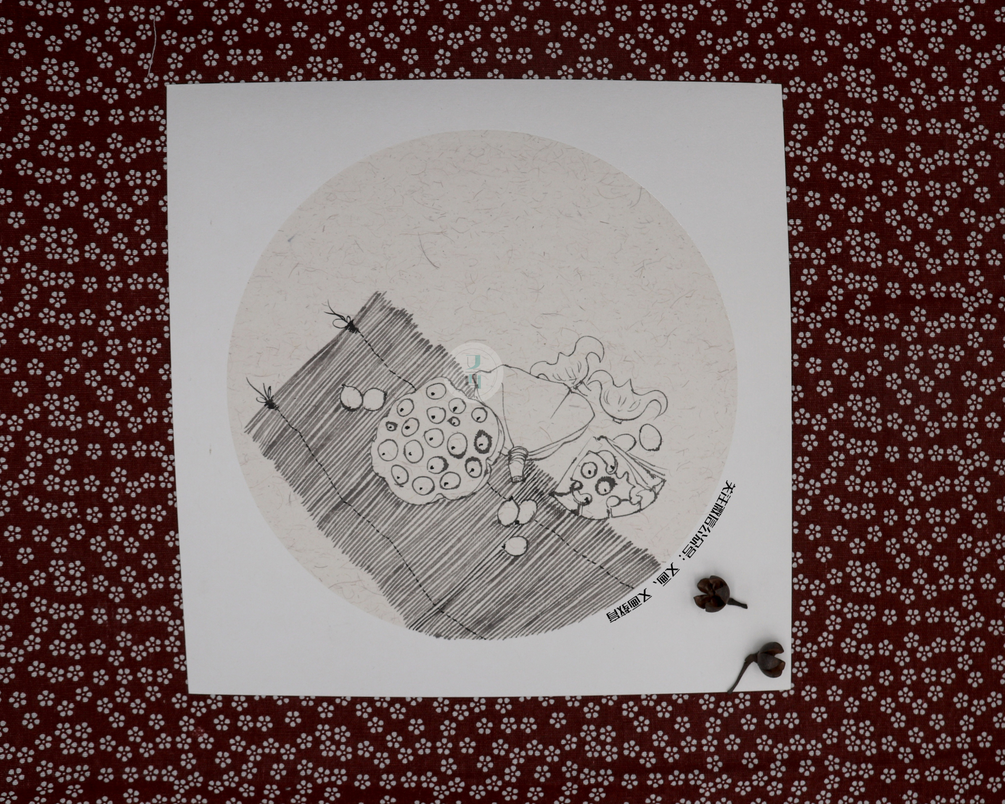 国画 莲子图绘画过程分享