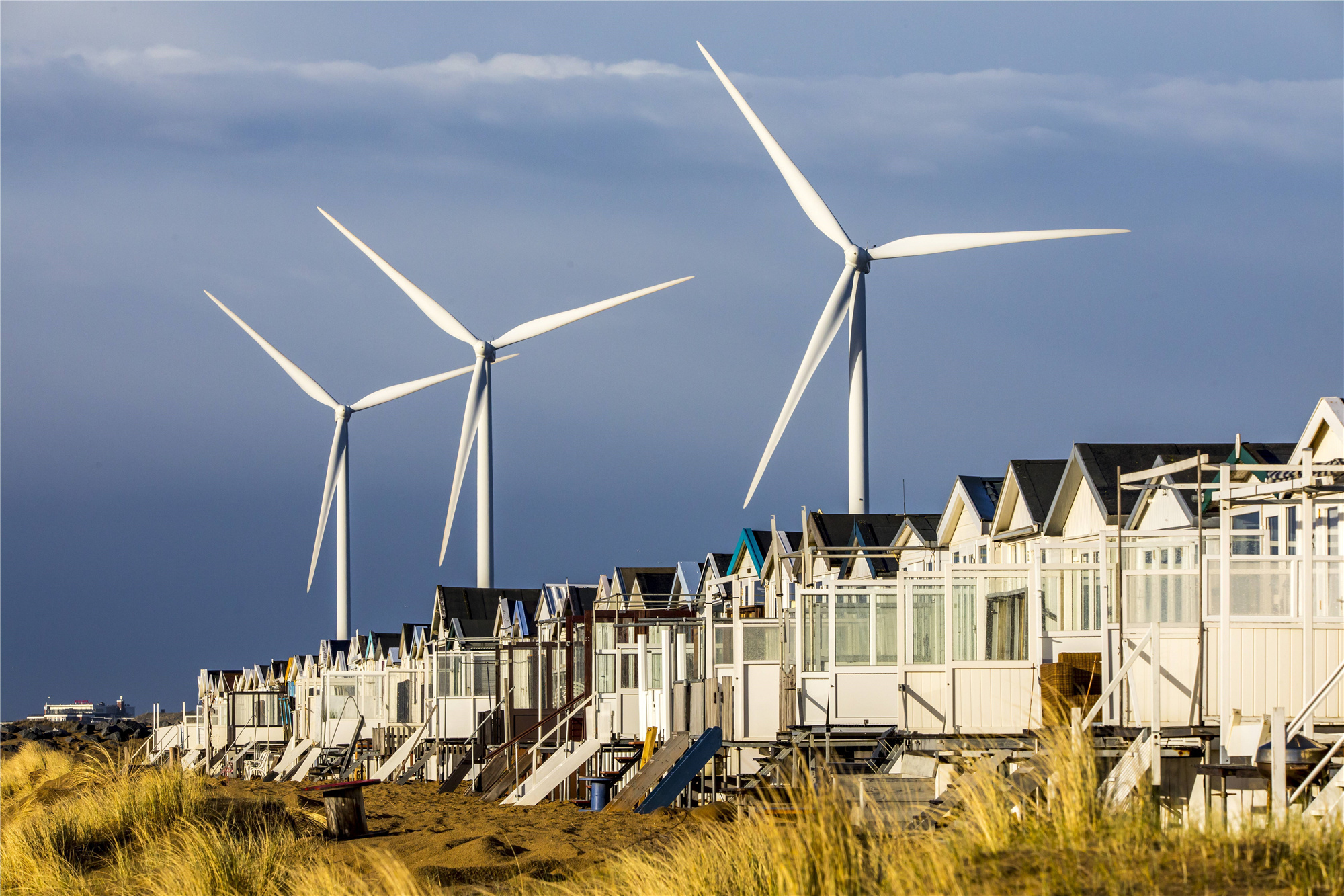 荷兰乡村风光,返璞归真的田园牧歌