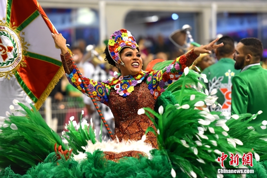 巴西狂欢节简介图片