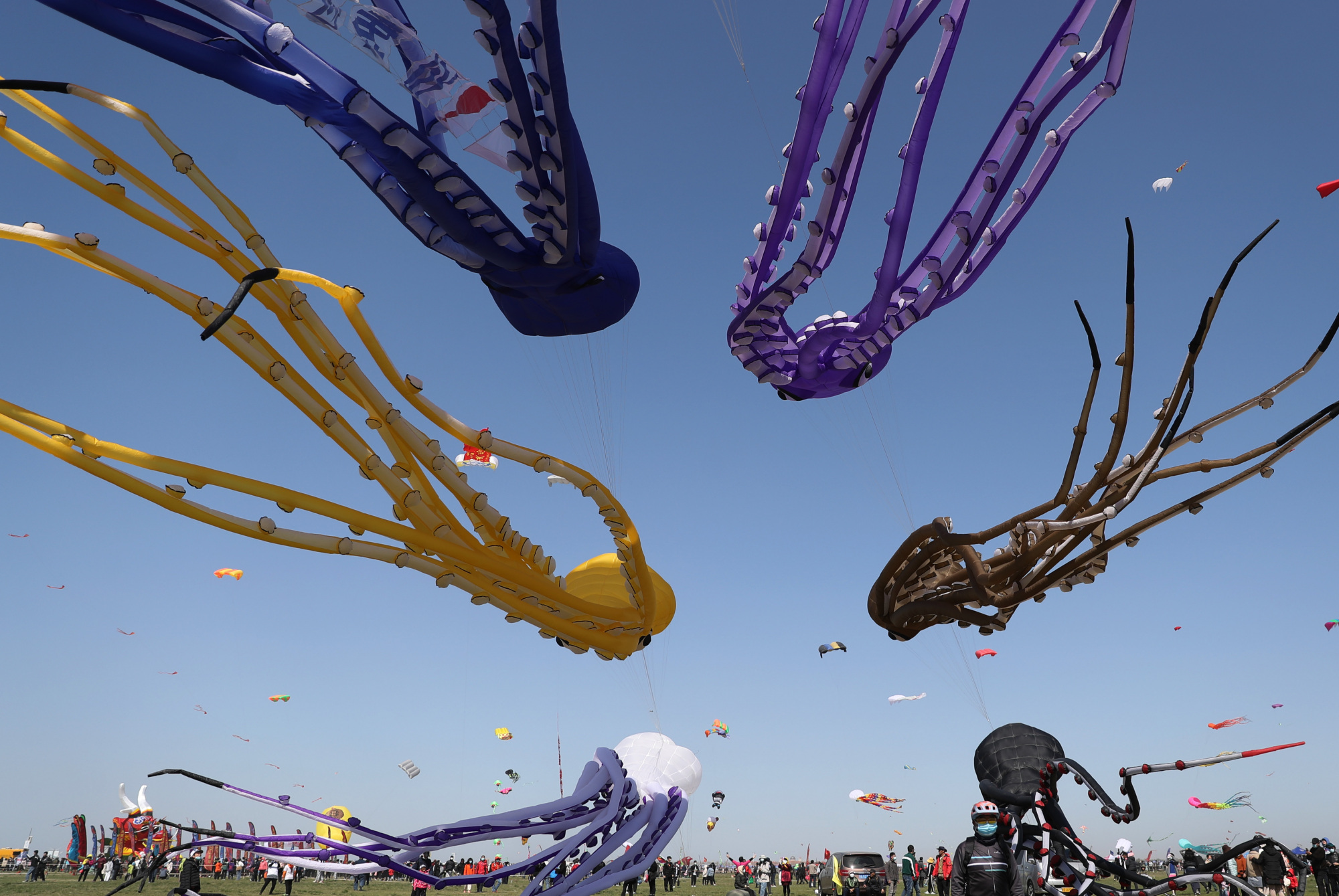 山东潍坊:第38届潍坊国际风筝会开幕