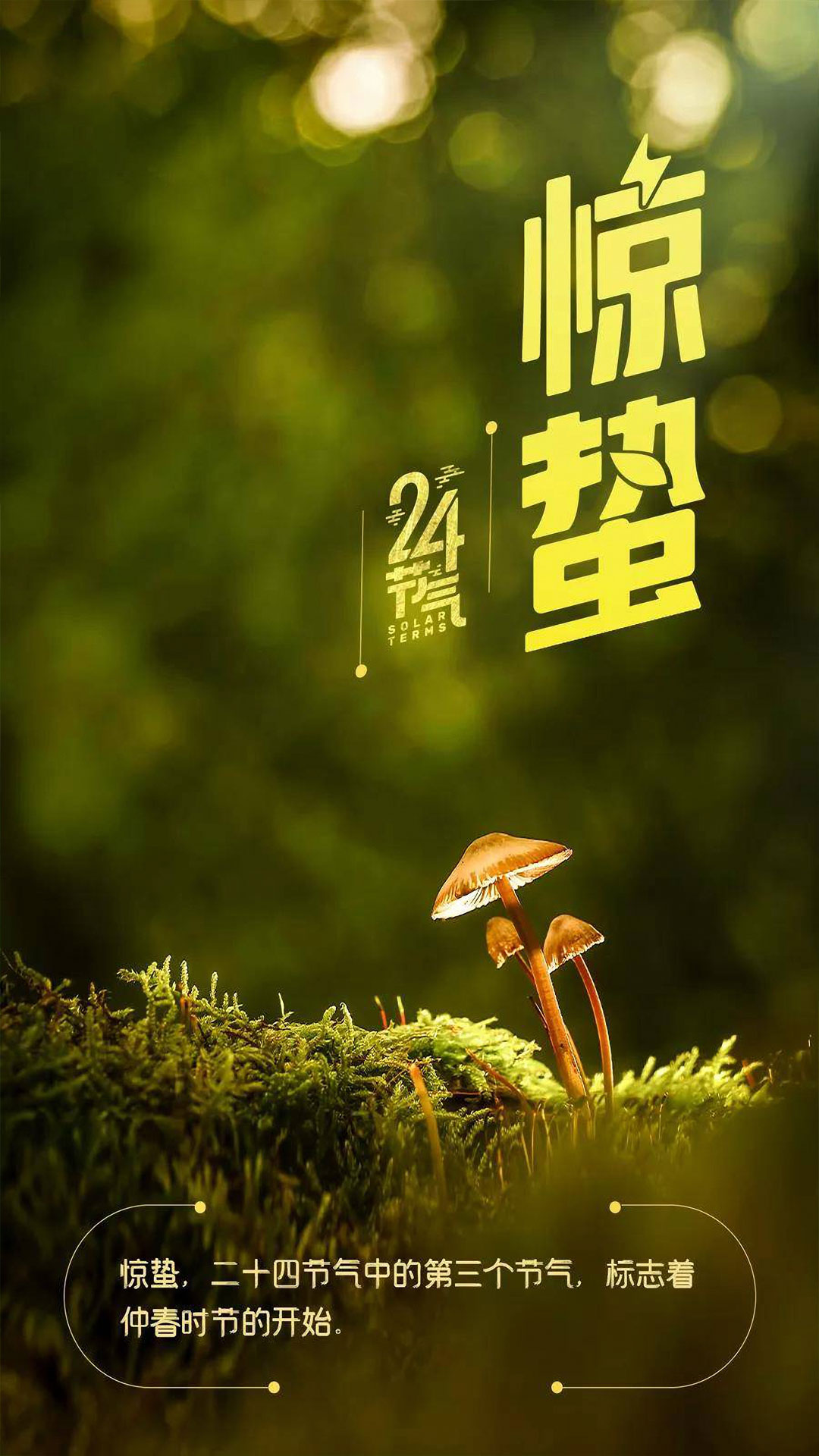 二十四节气——惊蛰