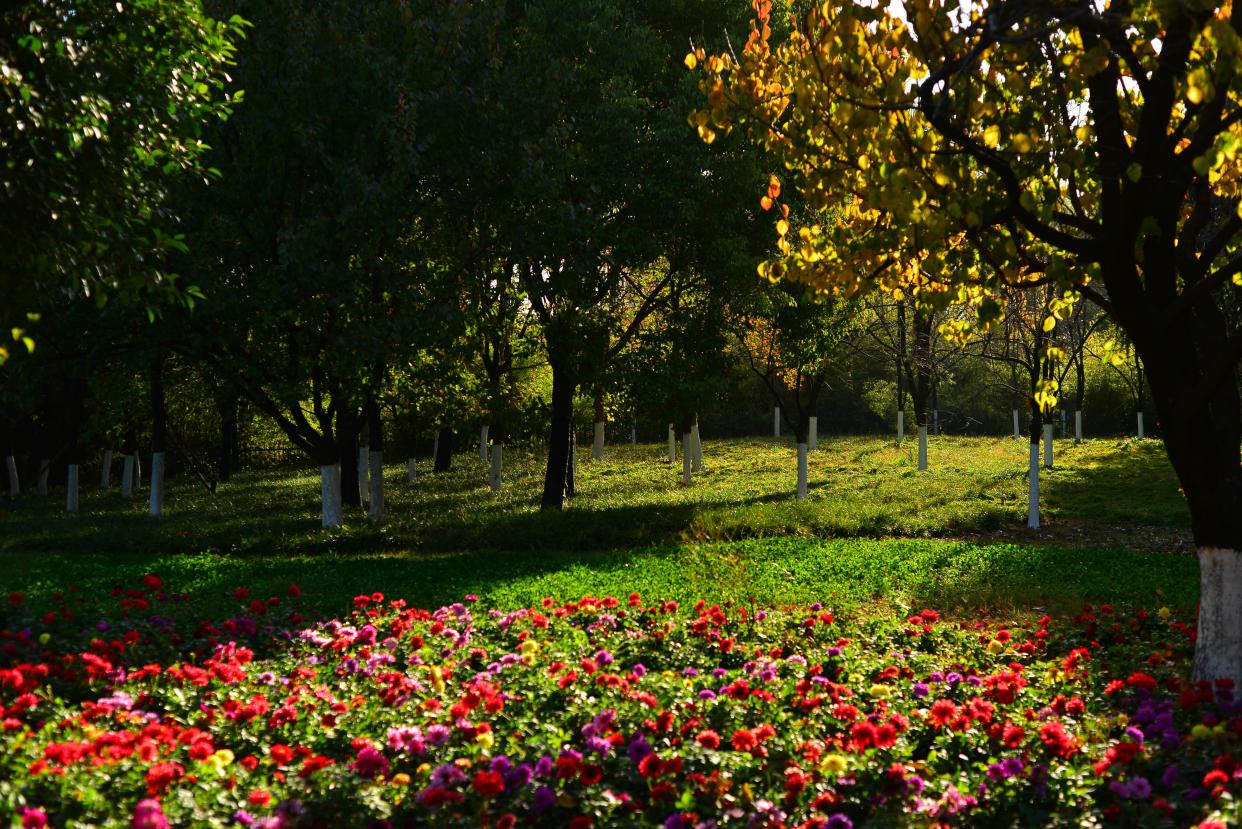 阜阳三角洲公园