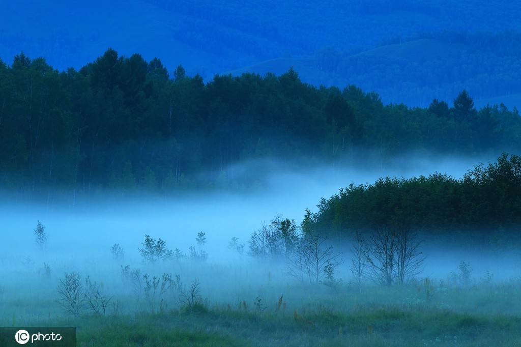 实拍大兴安岭森林之夜 蓝雾迷漫宁静悠远