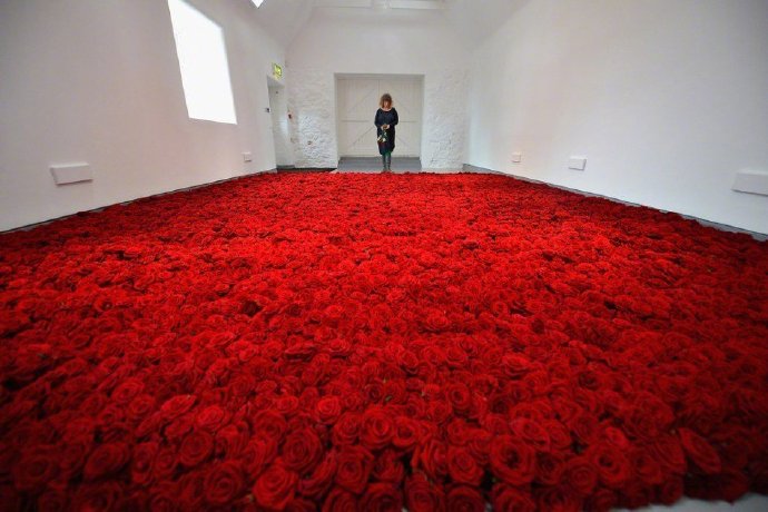 10000朵玫瑰的葬礼,好壮观