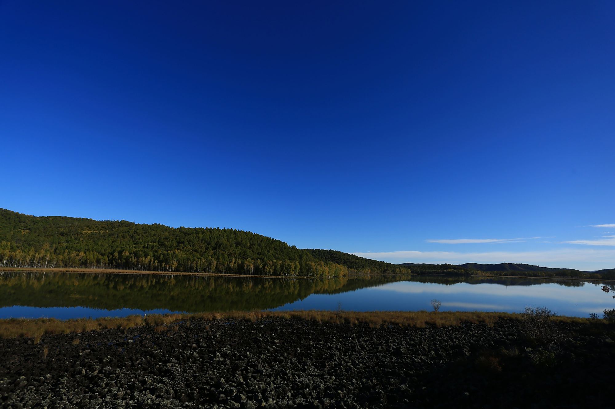 游客看完内蒙古大兴安岭的风景,想要留在这里当护林员,想得挺美