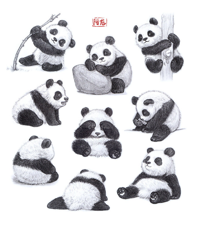 国宝熊猫怎么画?大熊猫怎么画?多种姿态参考素材!
