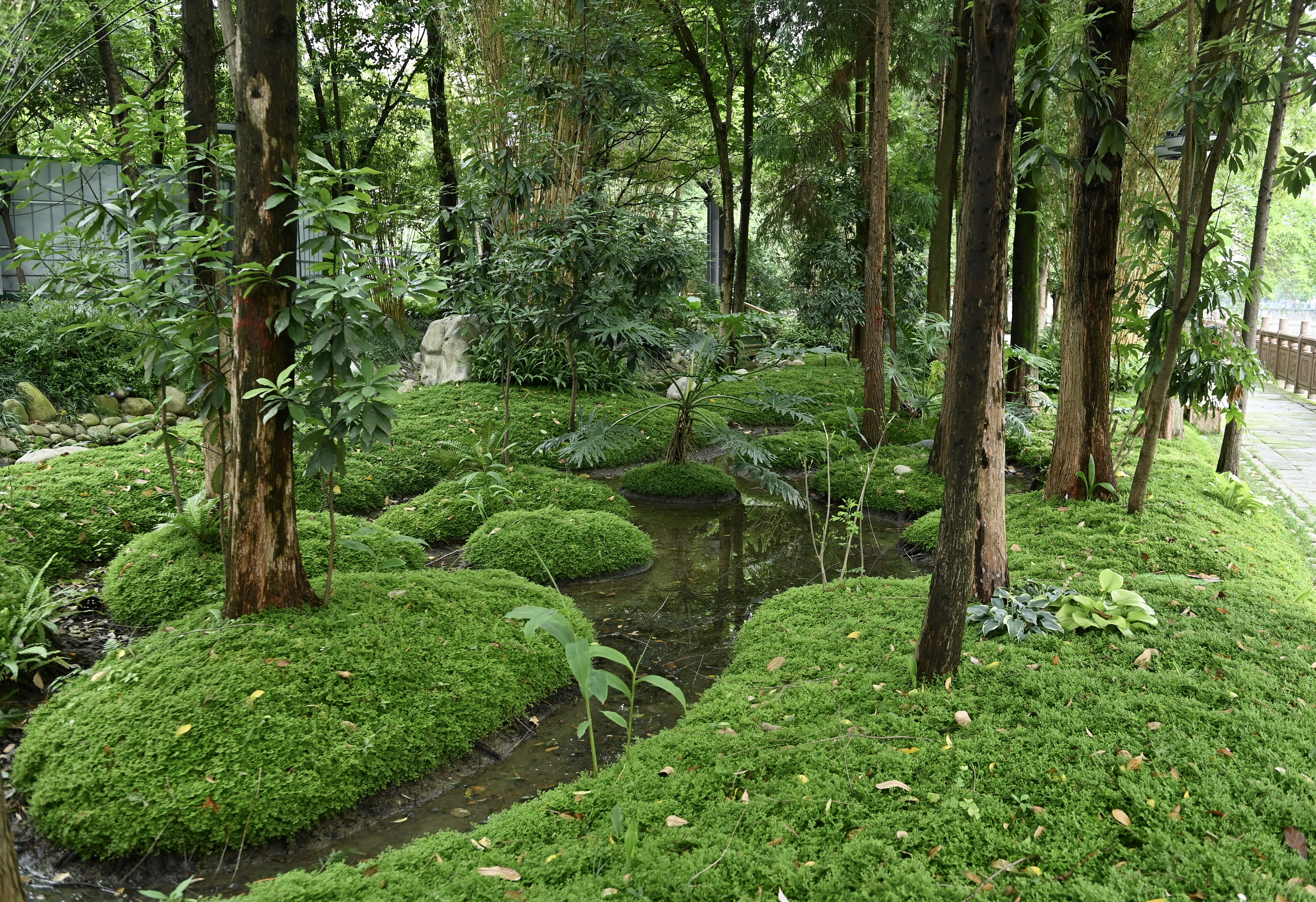 成都活水公园焕新颜|光影成都