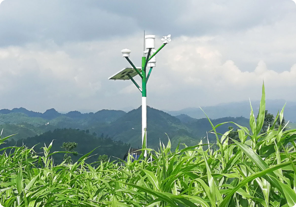 现代科技农业爆棚时代设施农业,数字农业,智慧农业,人工智能!