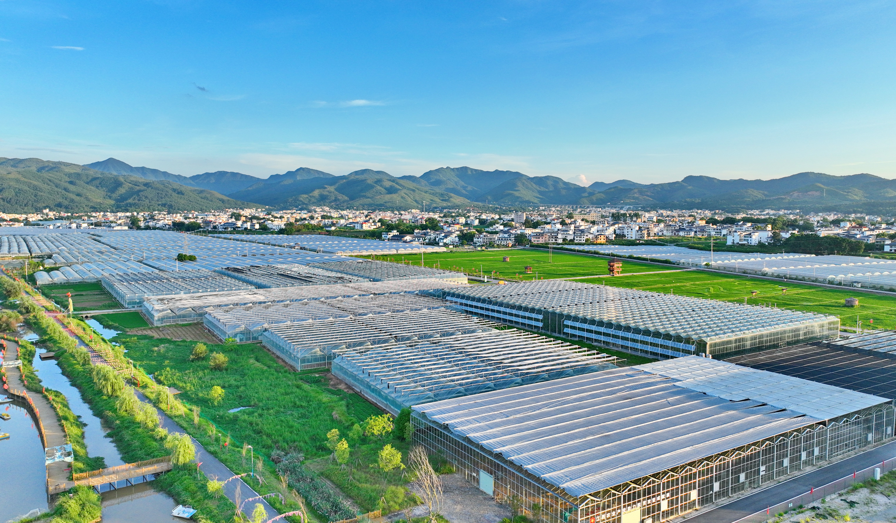 江西于都:富硒蔬菜富乡村