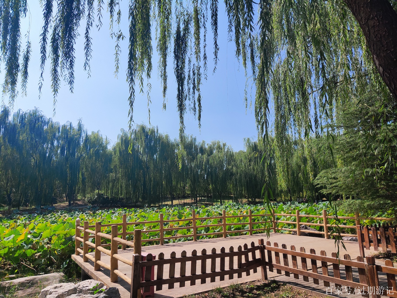 秋高氣爽時的散步好去處——北京東昇八家郊野公園