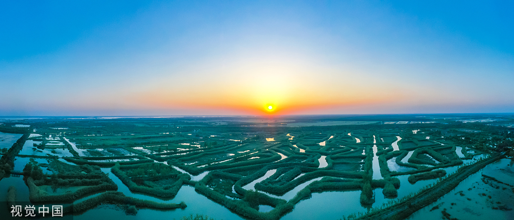 大湖湿地水韵泗洪图片