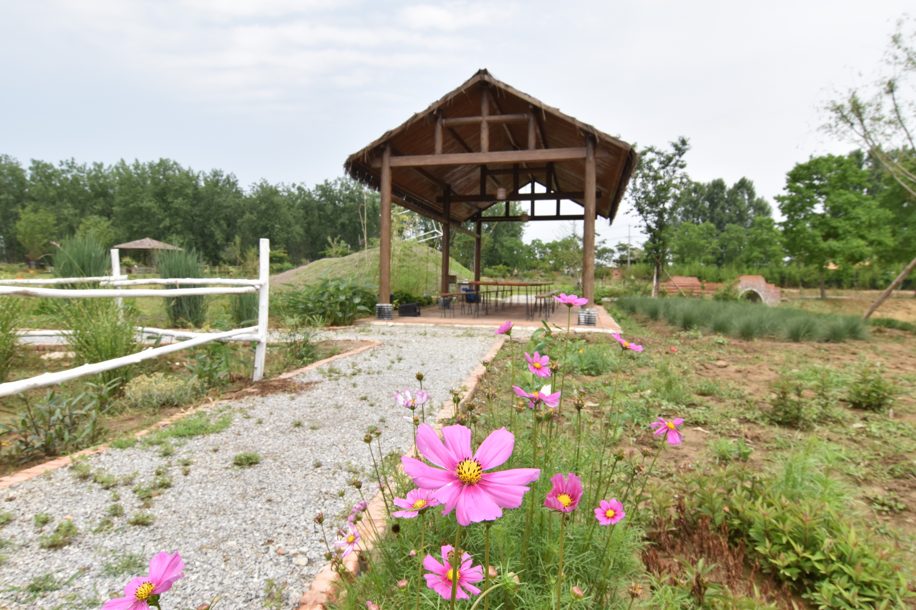 合肥市长丰县杨庙镇马郢社区