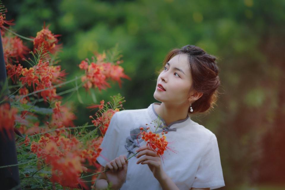 佳人摄影:像花一样美丽的姑娘
