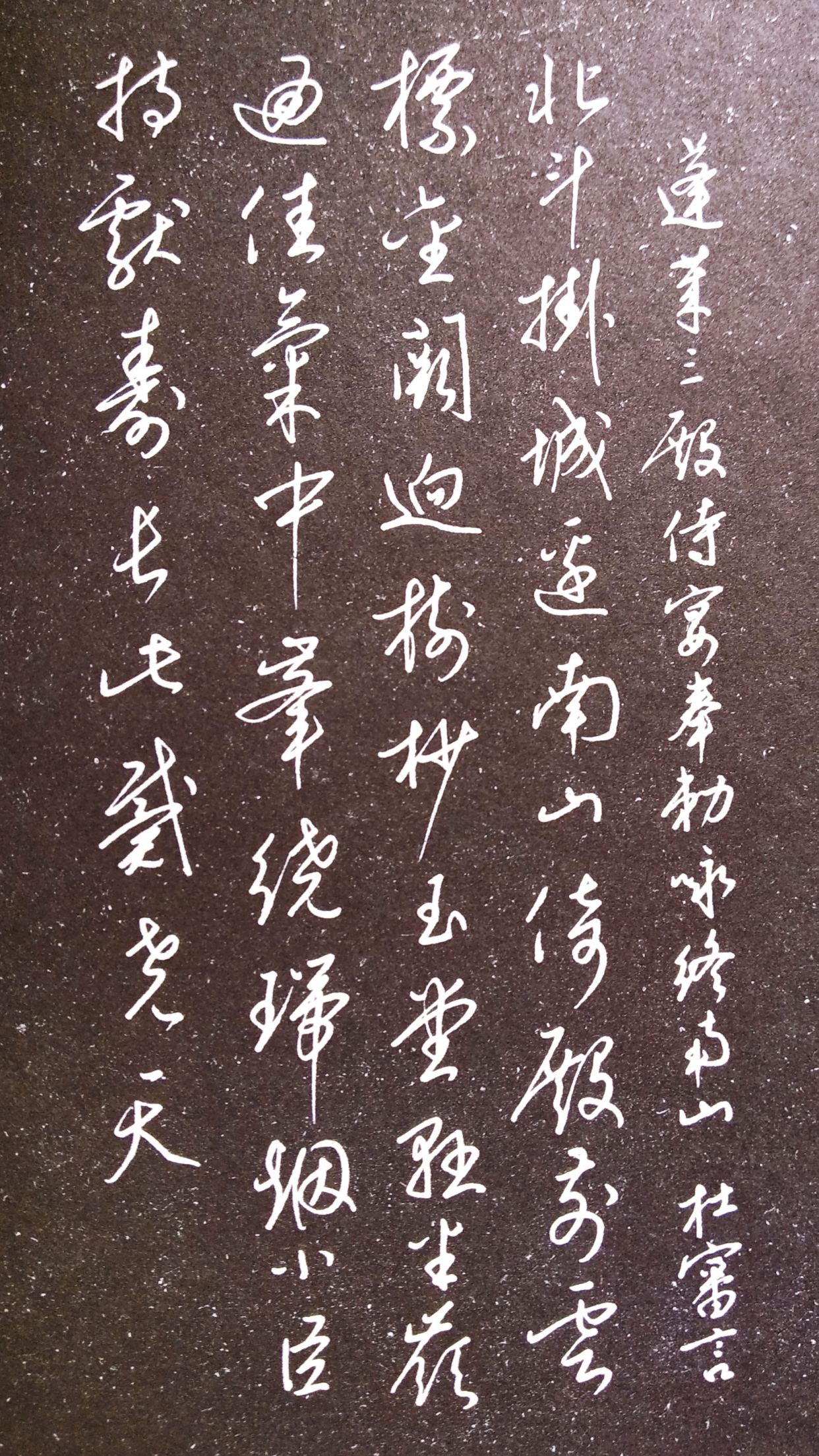 梁锦英,硬笔书法之先行者