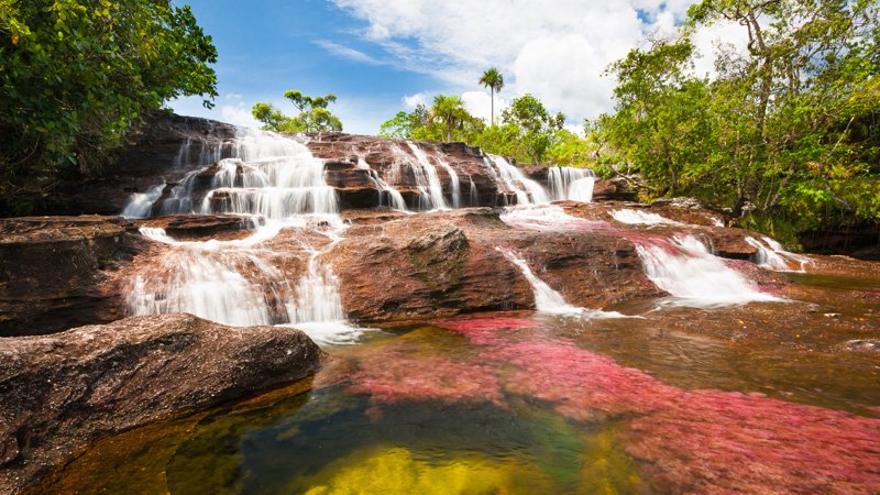 南美洲哥伦比亚的迷人风景