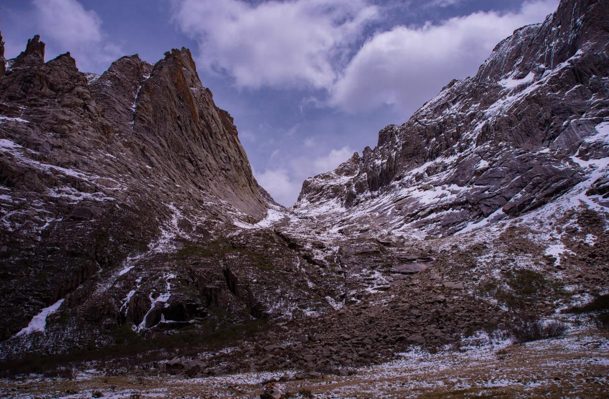 石头城莲宝叶则