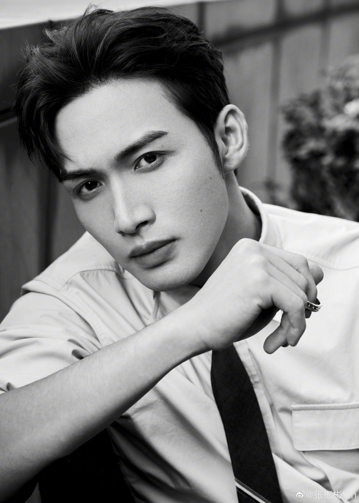 张彬彬帅照来袭